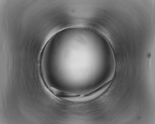 X0000090481483200707201405