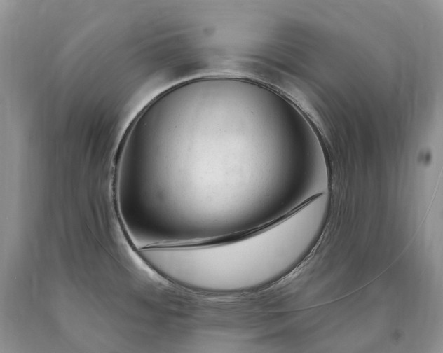 X0000090481484200707201405