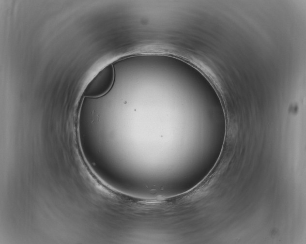 X0000090481486200707201405