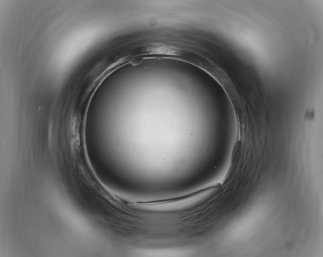 X0000090481487200707201405