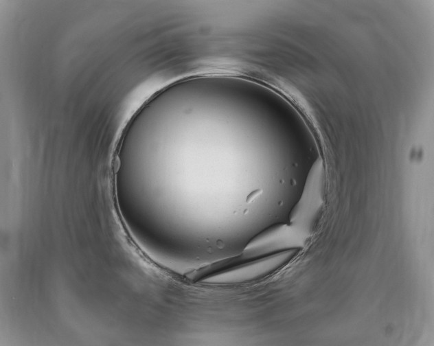 X0000090481488200707201405