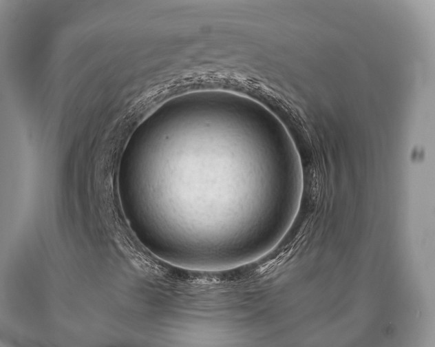 X0000090481489200707201404