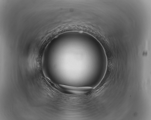X0000090481490200707201404