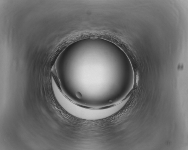 X0000090481492200707201404
