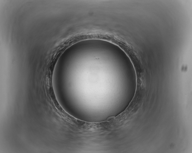 X0000090481493200707201404
