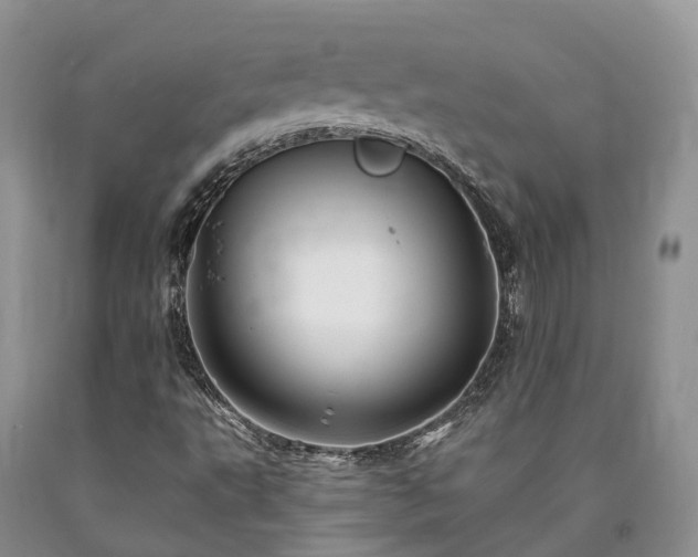 X0000090481495200707201404