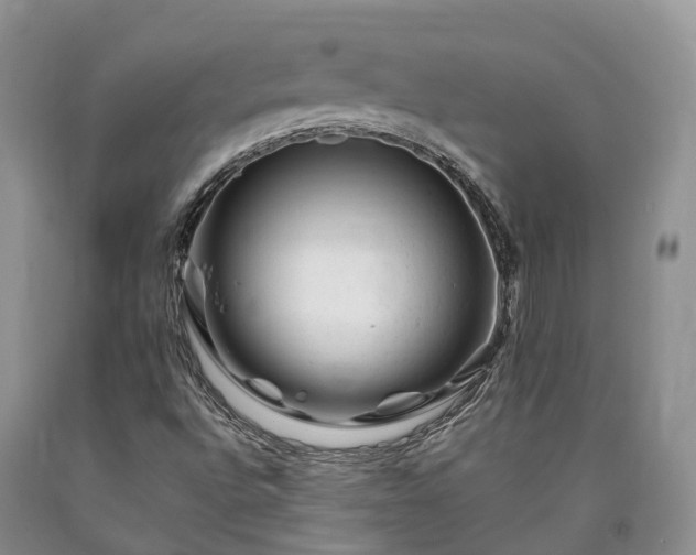 X0000090481496200707201404