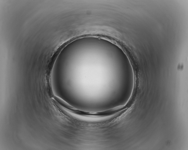 X0000090481497200707201404