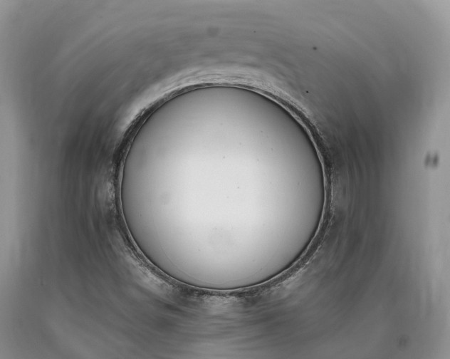 X0000090481498200707201404