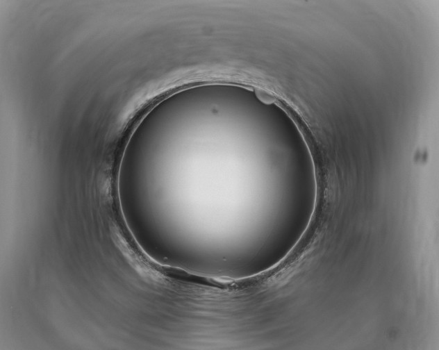 X0000090481499200707201404