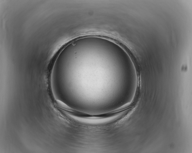 X0000090481501200707201404
