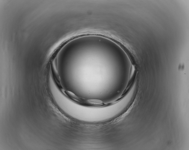 X0000090481502200707201404