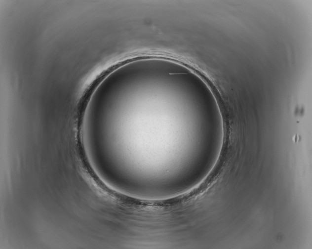 X0000090481503200707201404