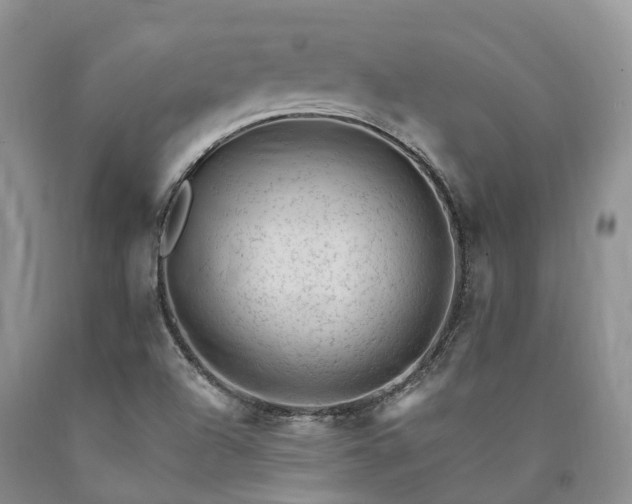X0000090481504200707201404