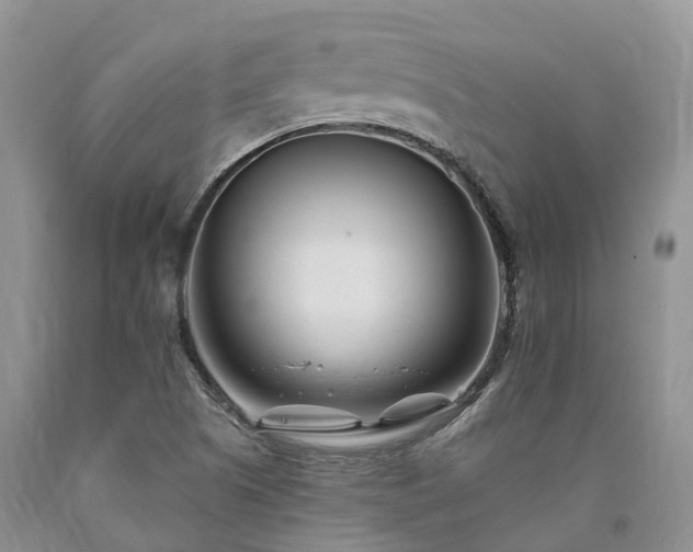 X0000090481505200707201404