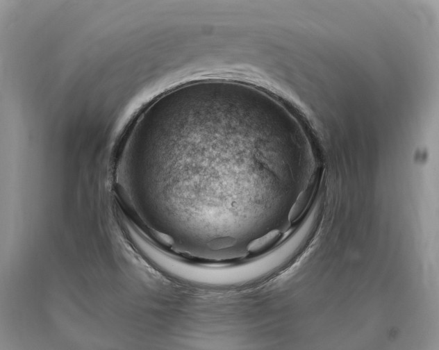 X0000090481506200707201404