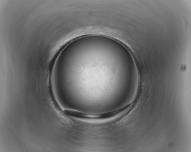 X0000090481507200707201404