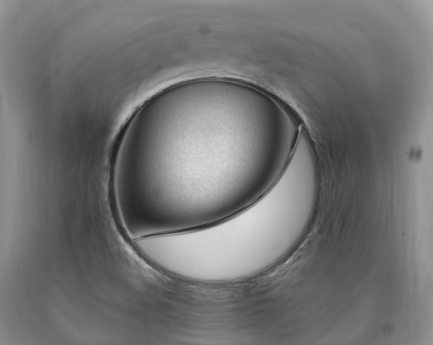 X0000090481508200707201404