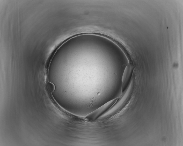 X0000090481509200707201404