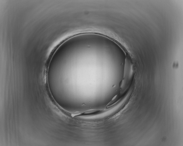 X0000090481510200707201405