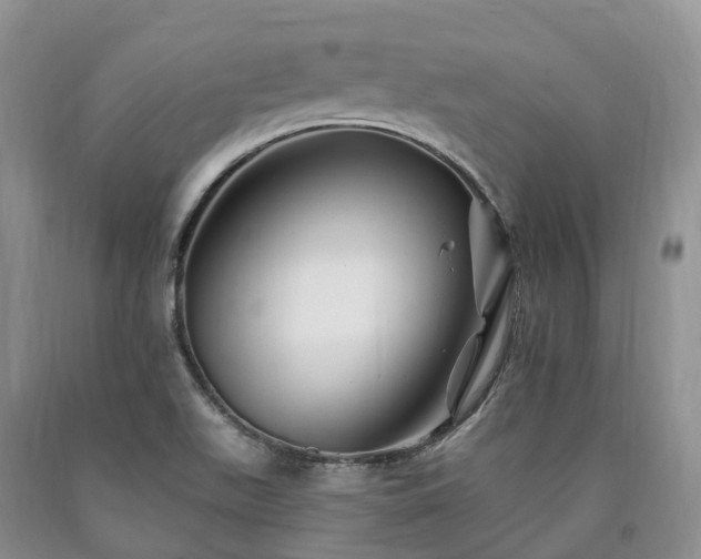 X0000090481511200707201405