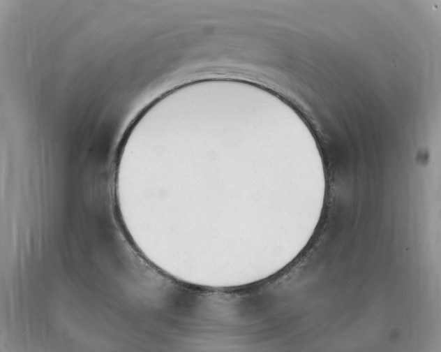 X0000090481514200707201405