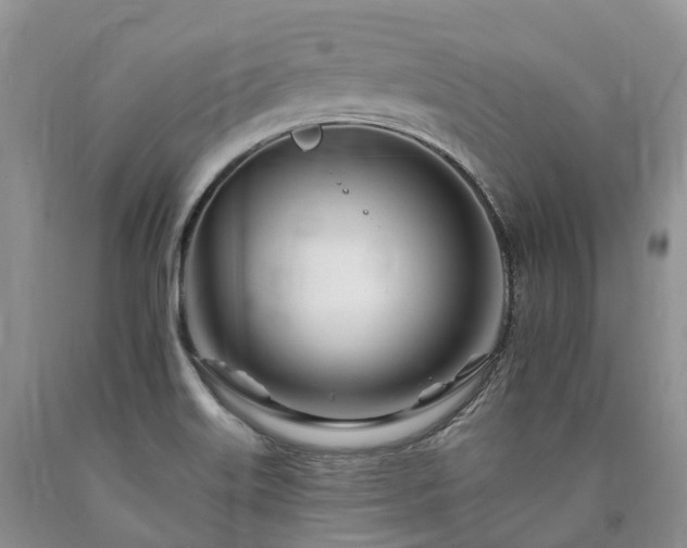 X0000090481515200707201405
