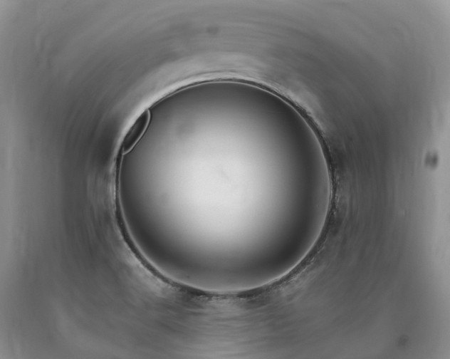 X0000090481516200707201405