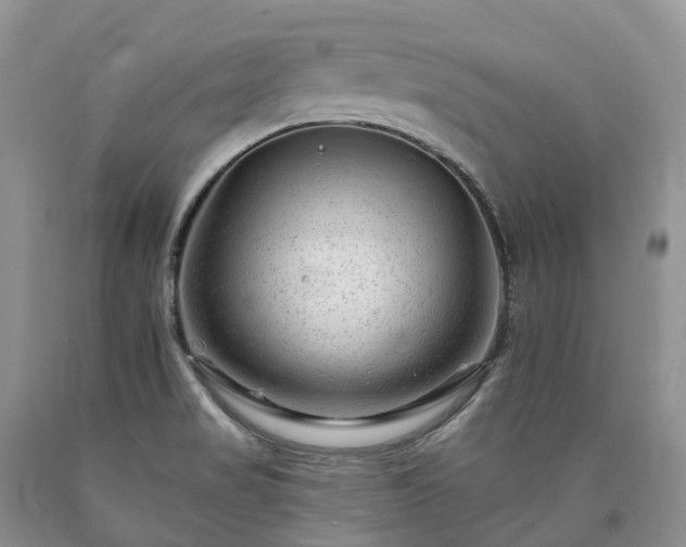 X0000090481517200707201405