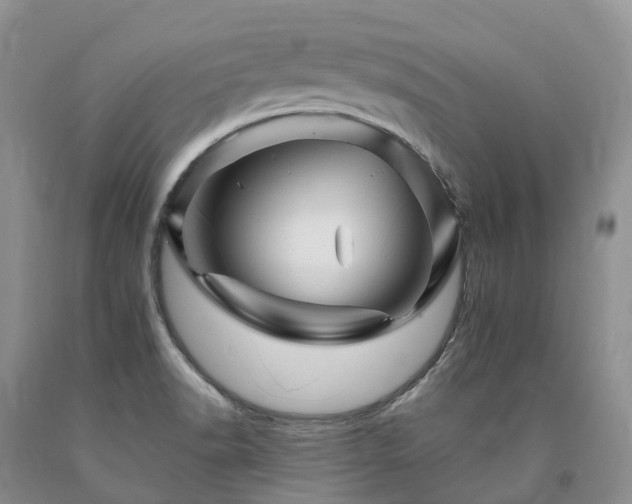 X0000090481518200707201405