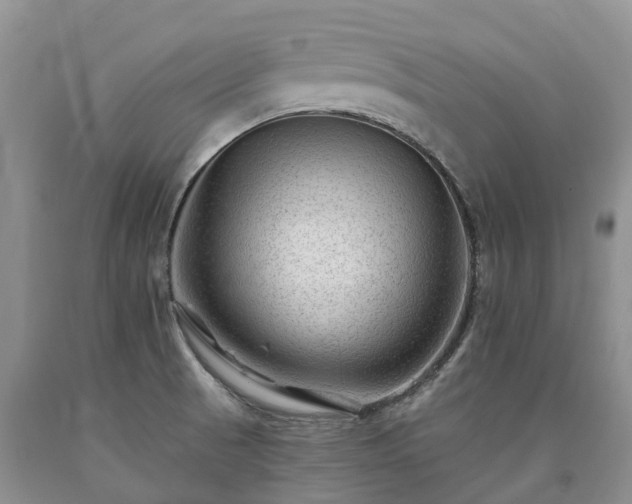 X0000090481521200707201405