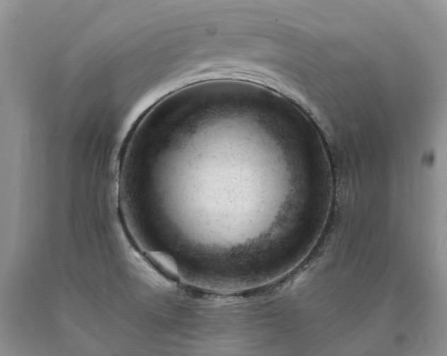 X0000090481522200707201405