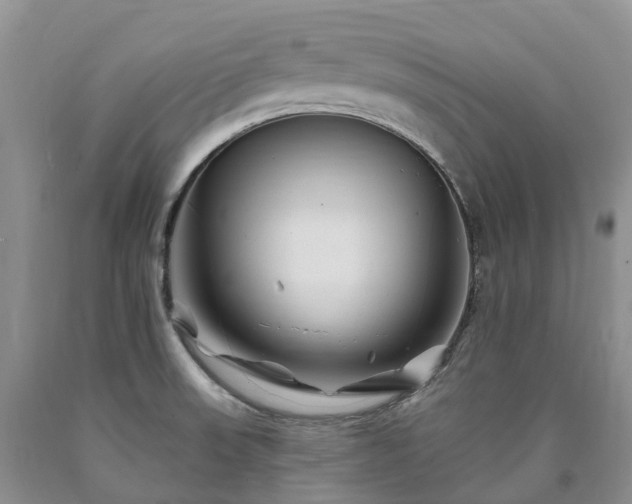 X0000090481523200707201405