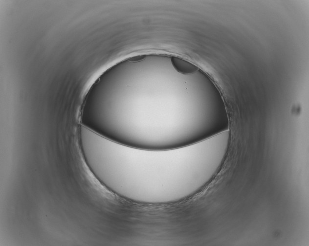 X0000090481524200707201405