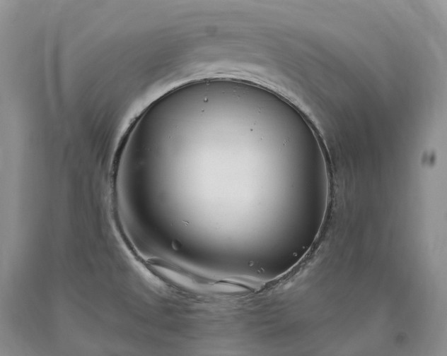 X0000090481525200707201405