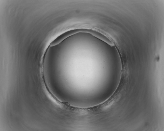 X0000090481528200707201405