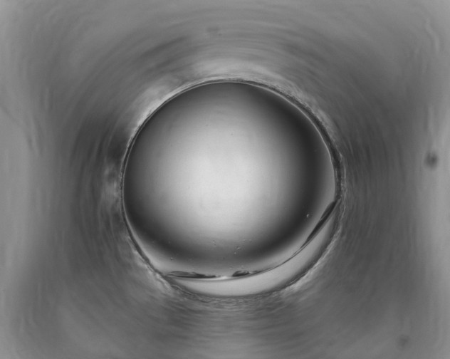 X0000090481529200707201405
