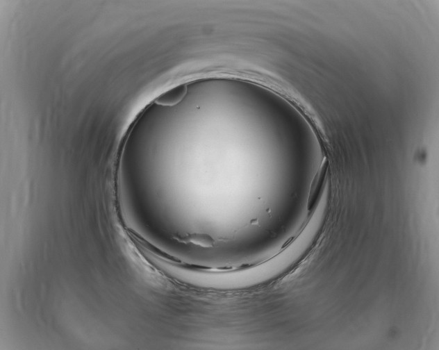 X0000090481530200707201405