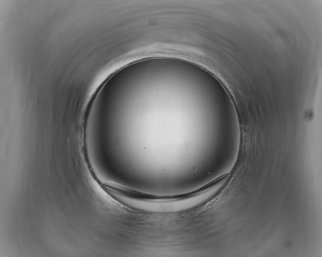 X0000090481531200707201405