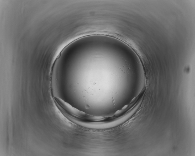 X0000090481532200707201405
