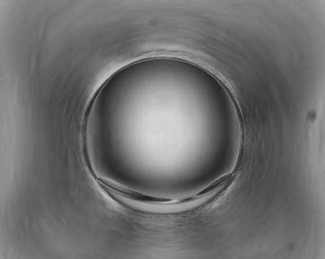 X0000090481533200707201405