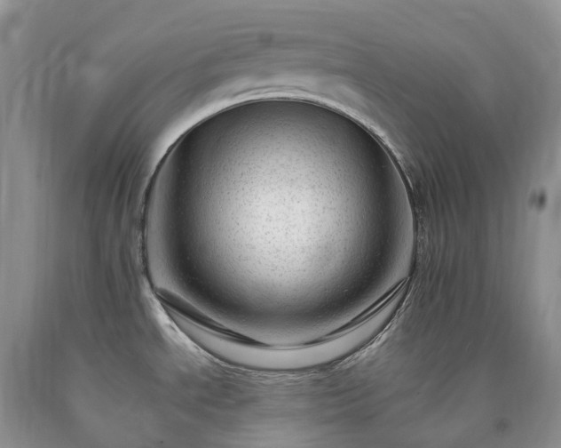 X0000090481534200707201405