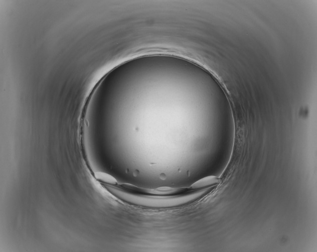 X0000090481535200707201405