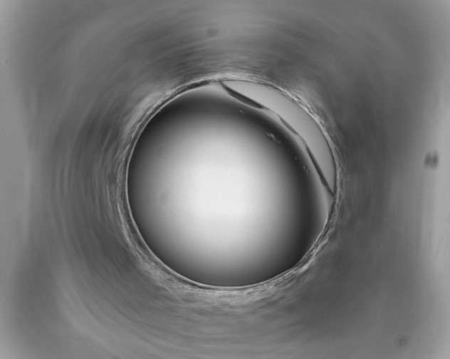 X0000090480001200707272329