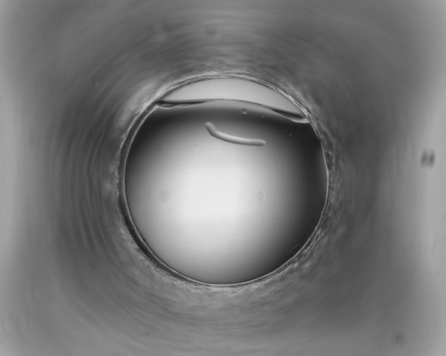 X0000090480002200707272329