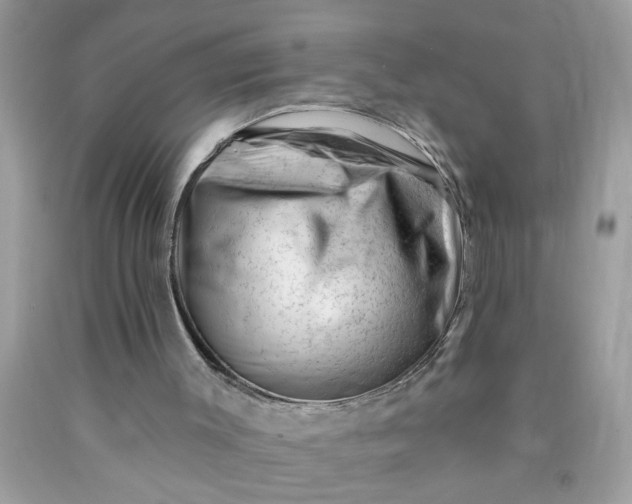 X0000090480003200707272329