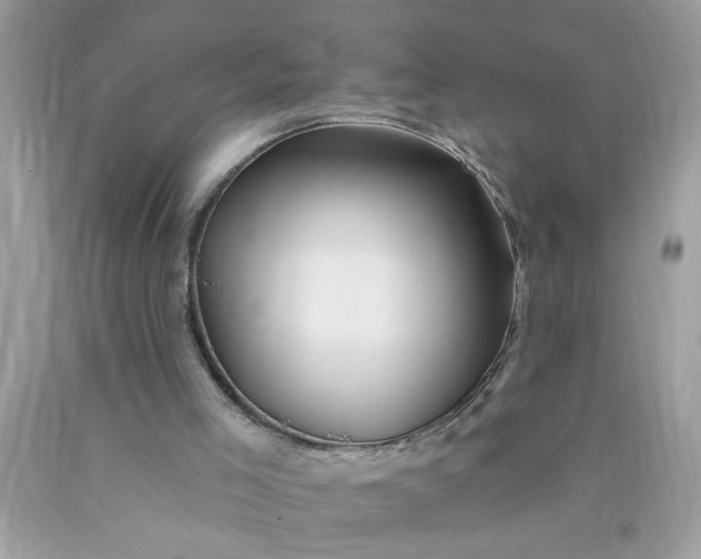 X0000090480005200707272329