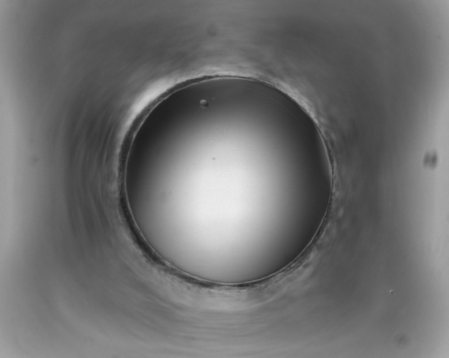 X0000090480008200707272329