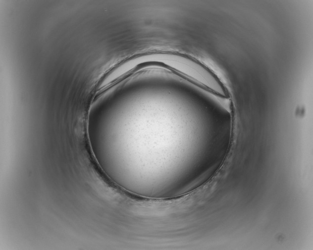 X0000090480009200707272329