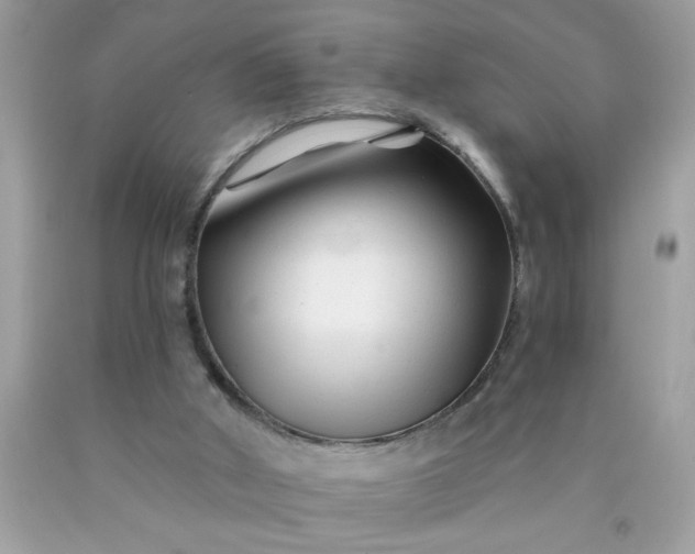 X0000090480010200707272329